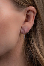 Horseshoe Hoop Earrings